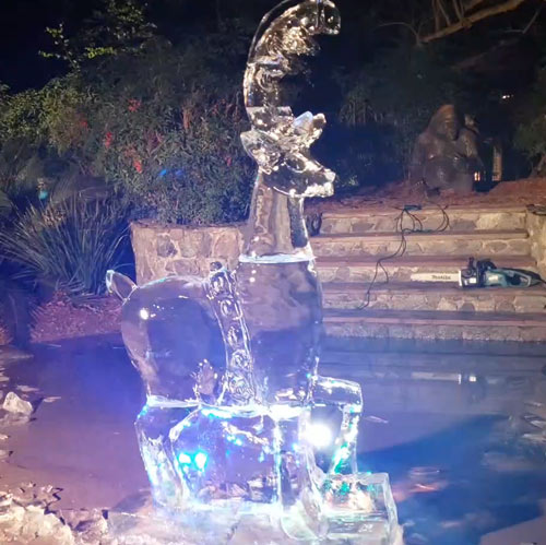 Ice Sculpture Escondido