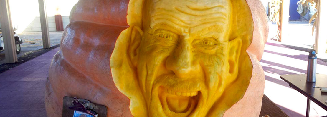  Professional pumpkin sculptor for hire