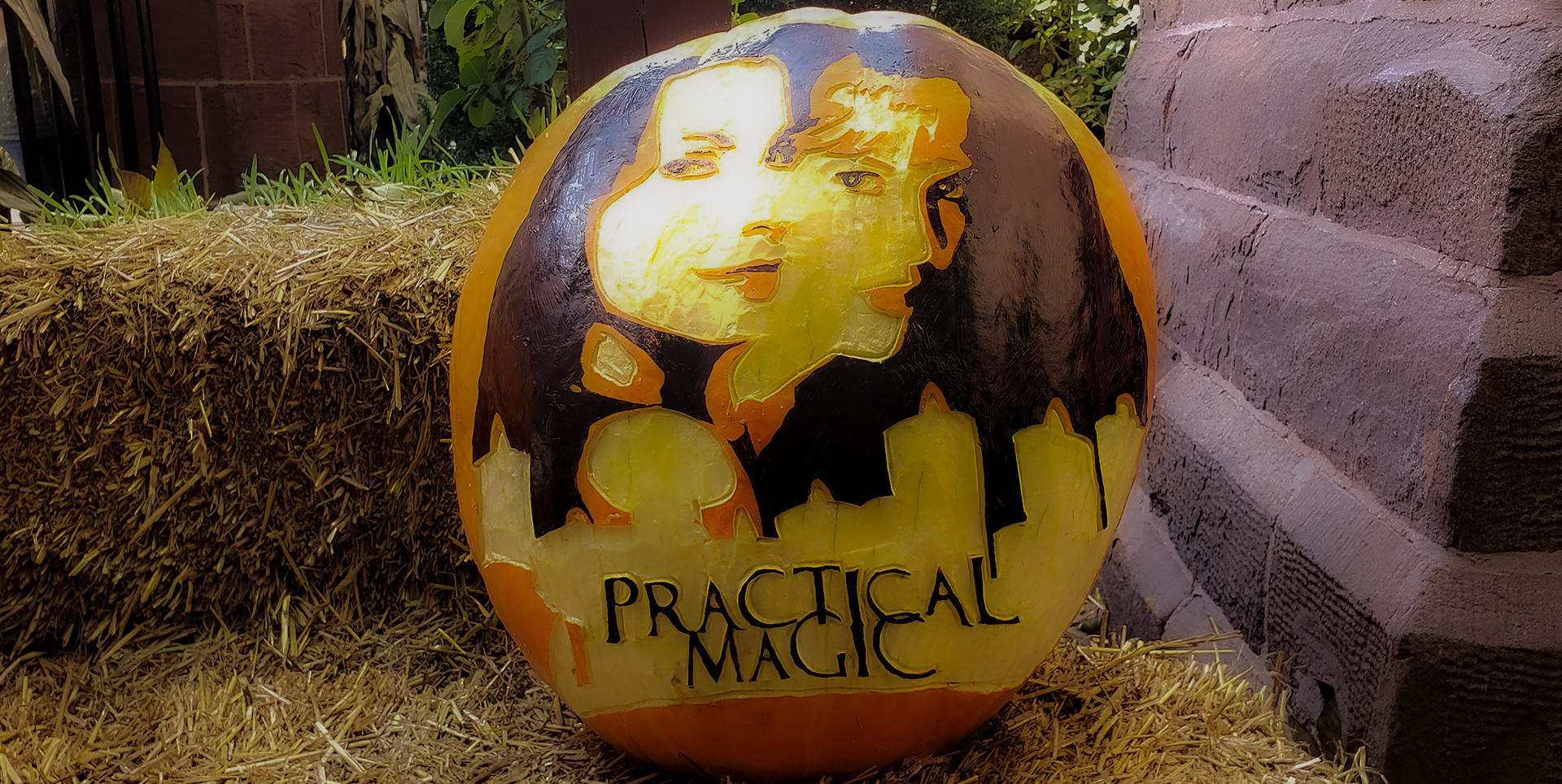 Portrait Pumpkins