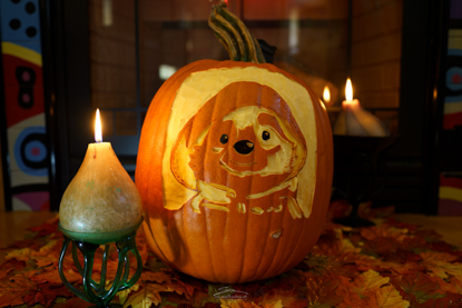 Hire a Professional Pumpkin Carver in 2024
