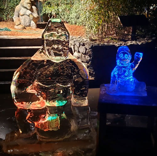  Corpoprate entertainment LA