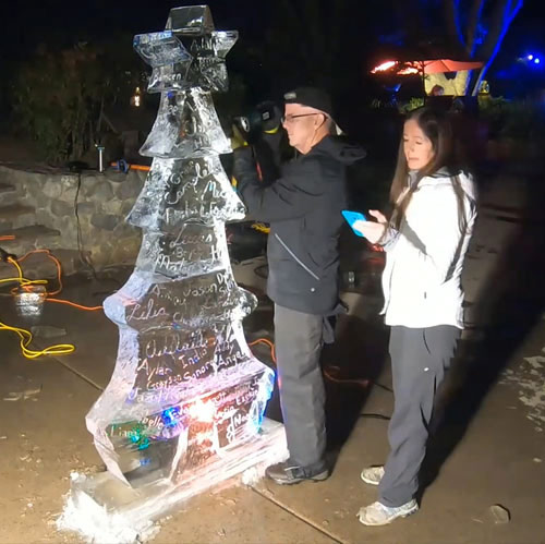 Live Ice Sculpture California