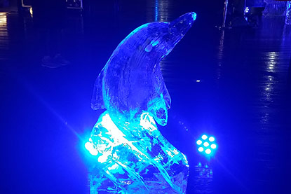 Miami ice sculpting performances
